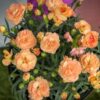 turuncu bodur karanfil 3 cicek tohumlari 20.02.2022 6464808 – Çiçek Tohumları