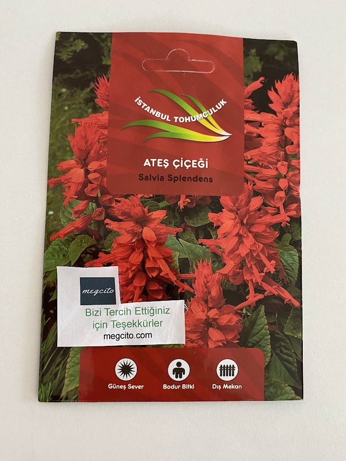 ATEŞ ÇİÇEĞİ ( ÇOKLU TOHUM ) - 75 Tohum - KARIŞIK Renk - Görsel 3