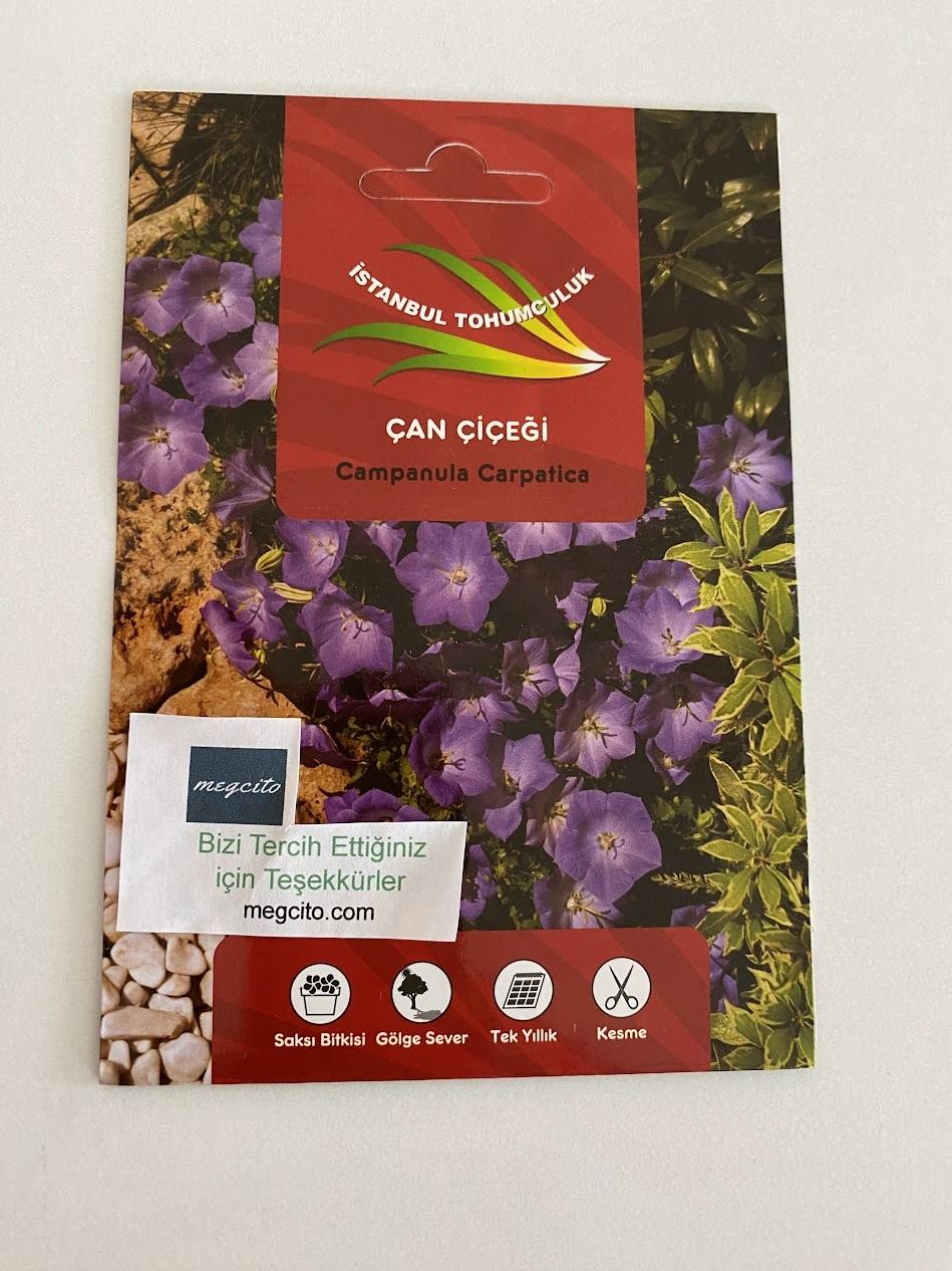 ÇAN ÇİÇEĞİ ( ÇOKLU TOHUM ) - 500 Tohum - KARIŞIK Renk - Görsel 3
