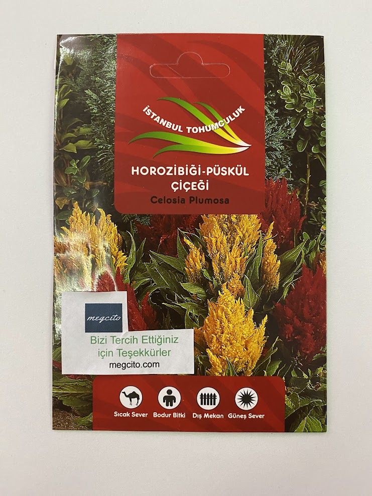 HOROZ İBİĞİ PÜSKÜL ( ÇOKLU TOHUM ) - 200 Tohum - KARIŞIK Renk - Görsel 3