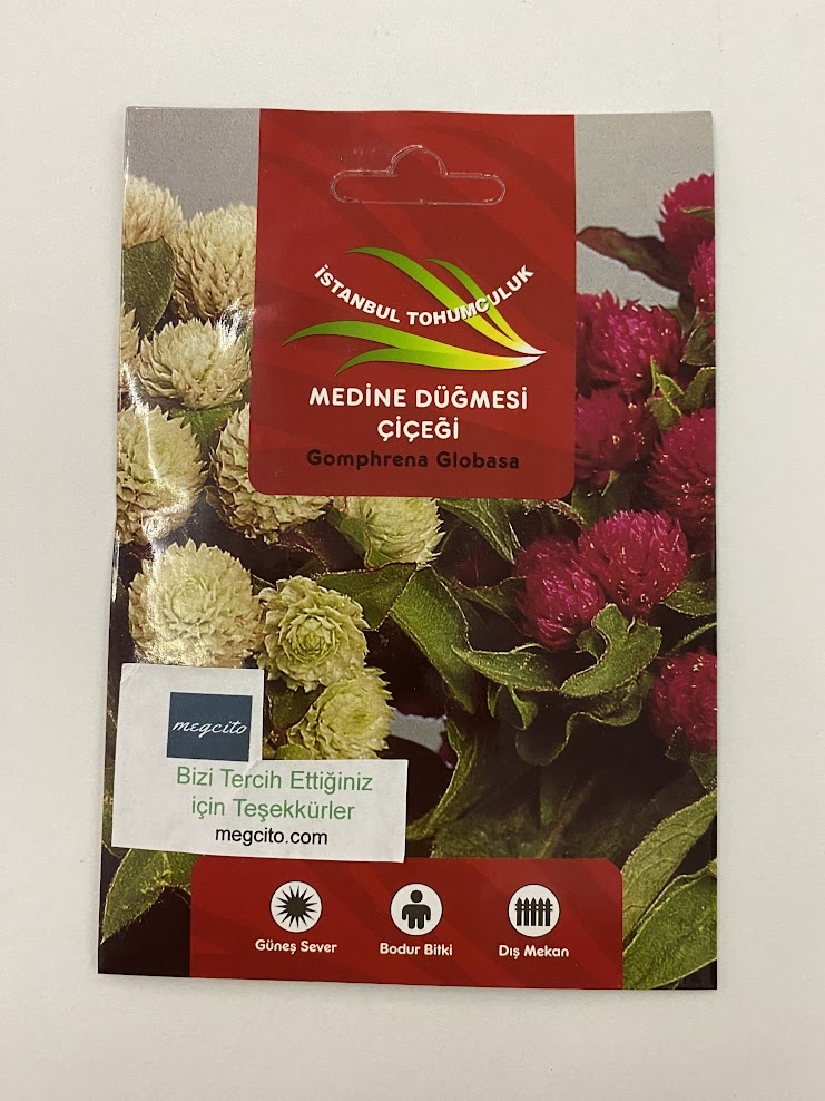 MEDİNE DÜĞMESİ ( ÇOKLU TOHUM ) - 100 Tohum - KARIŞIK Renk - Görsel 3